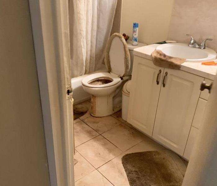 Toilet has over flowed, there is sewage on the floor. 