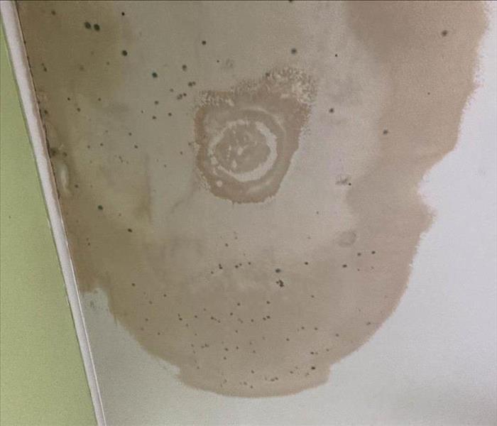 Wet ceiling with spots of mold.