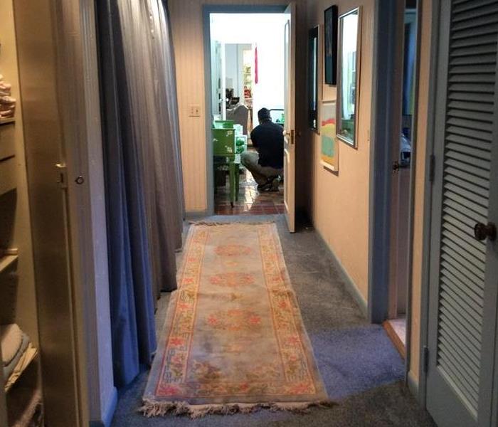 Blue carpet hallway with an employee in the doorway. 